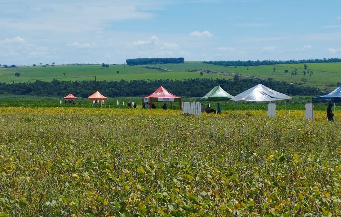 Segunda Edi&ccedil;&atilde;o do Dia de Campo Soja da Copagril re&uacute;ne produtores em Itaquira&iacute;