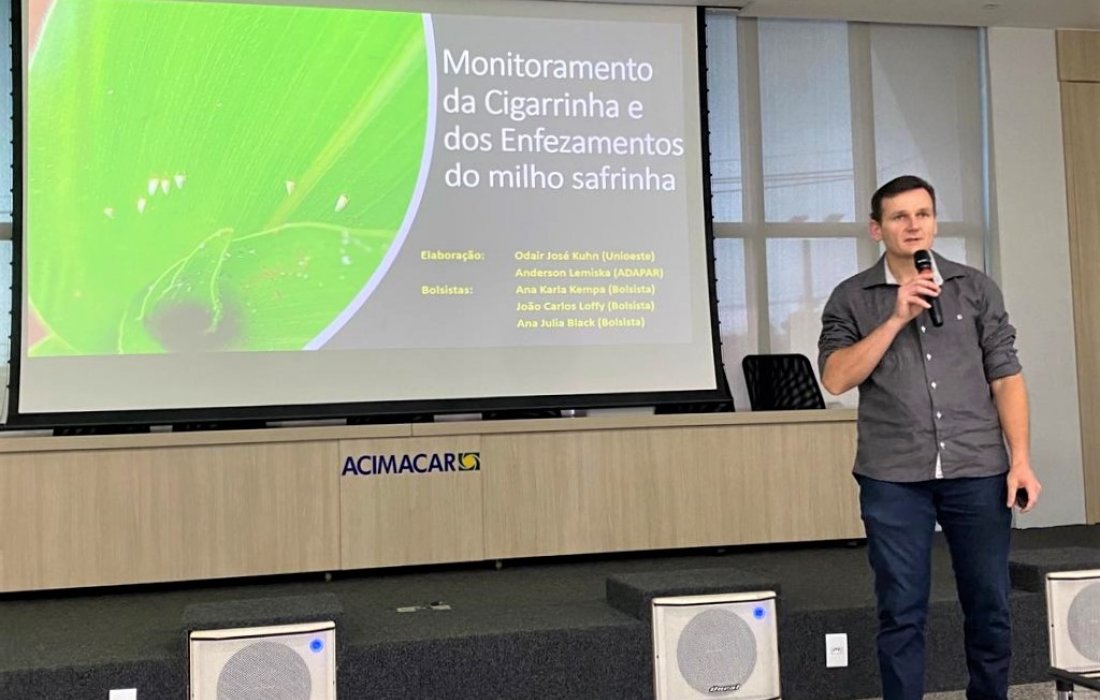 Projeto Alerta Cigarrinha: Monitoramento da Cigarrinha e dos enfezamentos do milho safrinha
