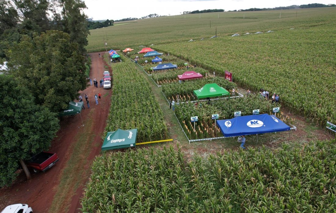 Copagril d&aacute; sequ&ecirc;ncia aos Dias de Campo Milho Safrinha