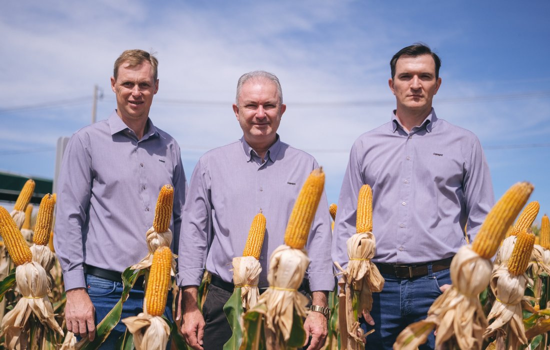 Ra&iacute;zes que sustentam o futuro: Copagril celebra 55 anos de hist&oacute;ria e cooperativismo