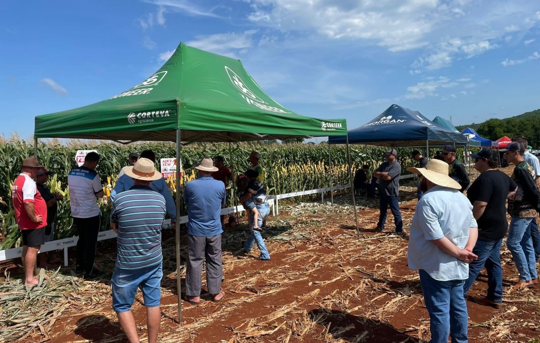 Copagril realiza Dia de Campo Milho Silagem em Entre Rios do Oeste