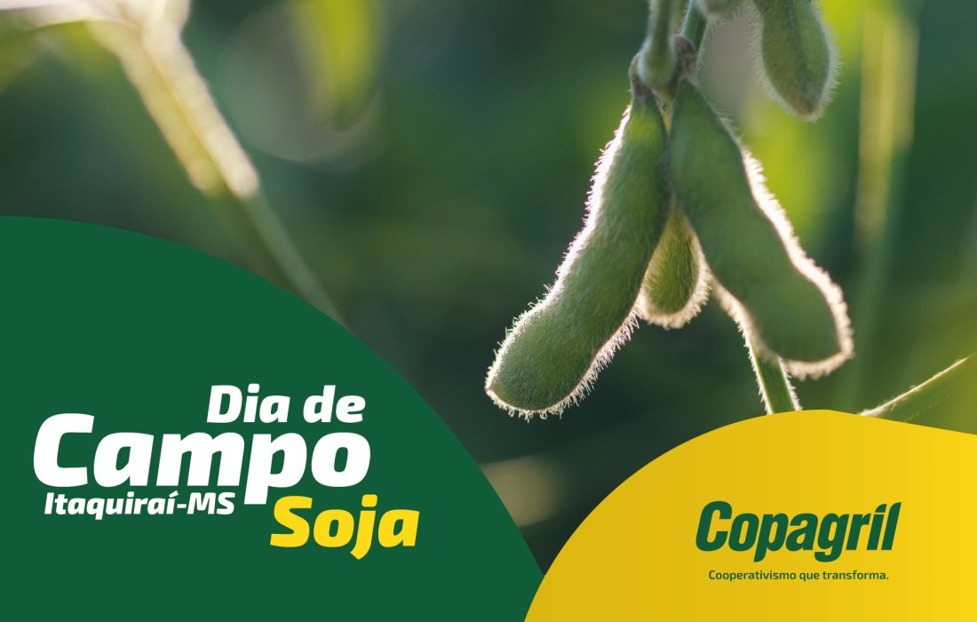 Dia de Campo Copagril em Itaquira&iacute; trar&aacute; inova&ccedil;&otilde;es para o cultivo da soja