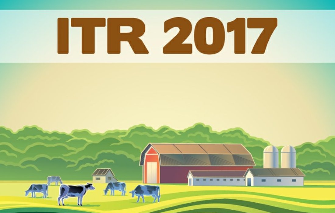 ITR: Prazo para entrega de declara&ccedil;&atilde;o de propriedades rurais termina sexta-feira