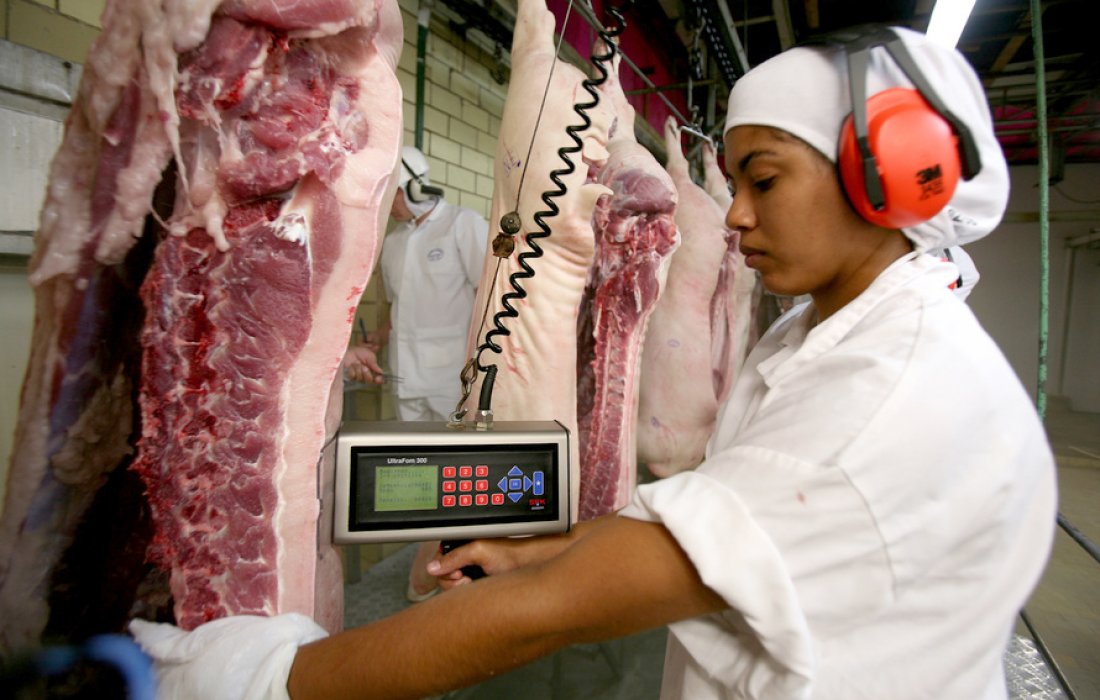 Com novo frigor&iacute;fico da Frimesa, Paran&aacute; dever&aacute; se tornar l&iacute;der em carne su&iacute;na