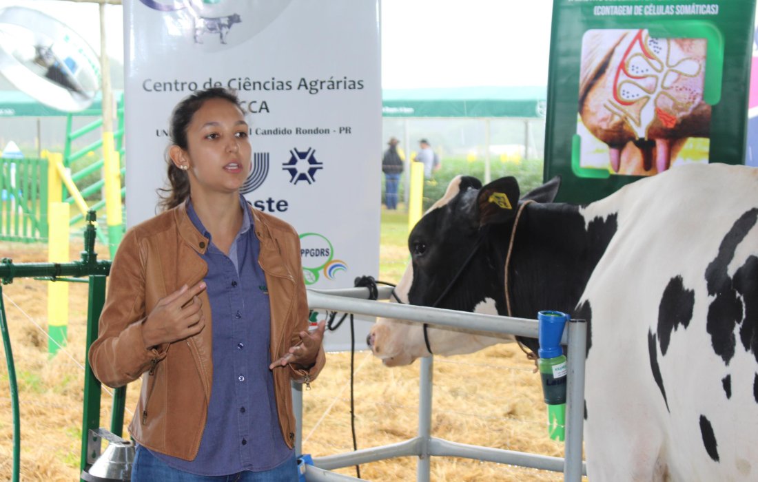 Setor leiteiro tem v&aacute;rias atra&ccedil;&otilde;es no Dia de Campo Copagril