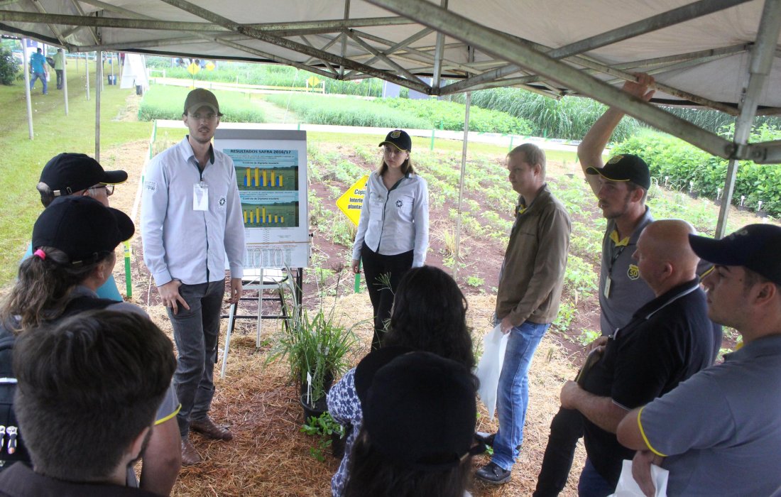 Difus&atilde;o de conhecimento e tecnologias s&atilde;o focos do setor agron&ocirc;mico da Copagril