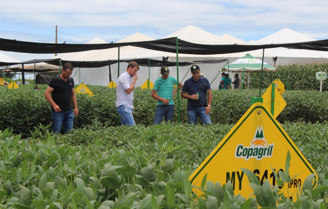 Dia de Campo Copagril 2018 &eacute; conclu&iacute;do com sucesso