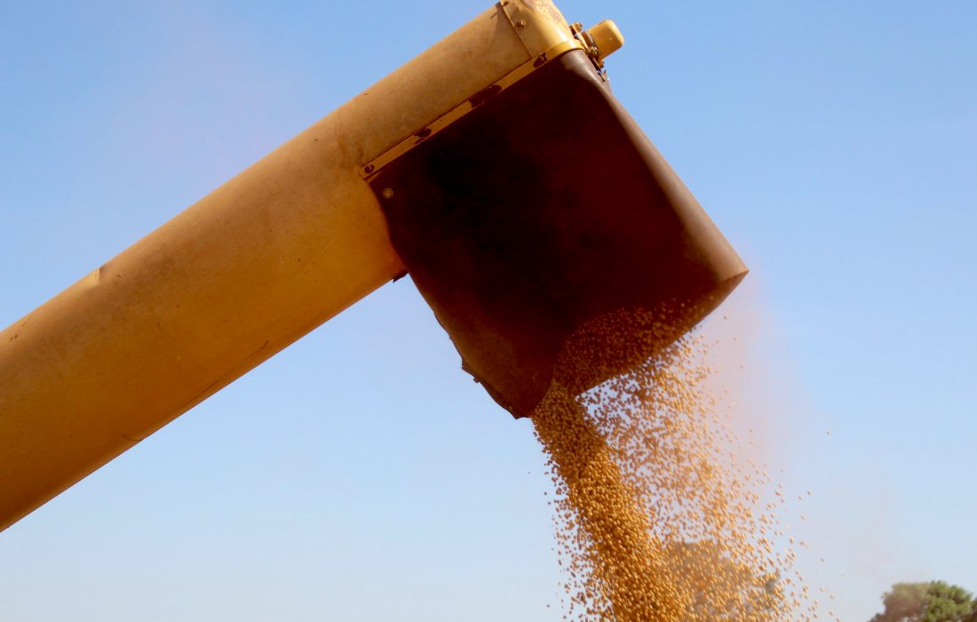 Aumento da produtividade &eacute; respons&aacute;vel por 80% do crescimento da agropecu&aacute;ria