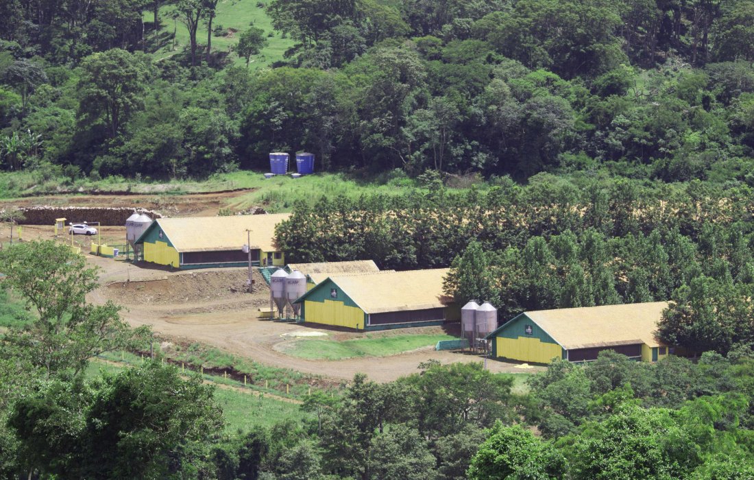 Copagril tem 100% das granjas de aves credenciadas pelo &oacute;rg&atilde;o fiscalizador