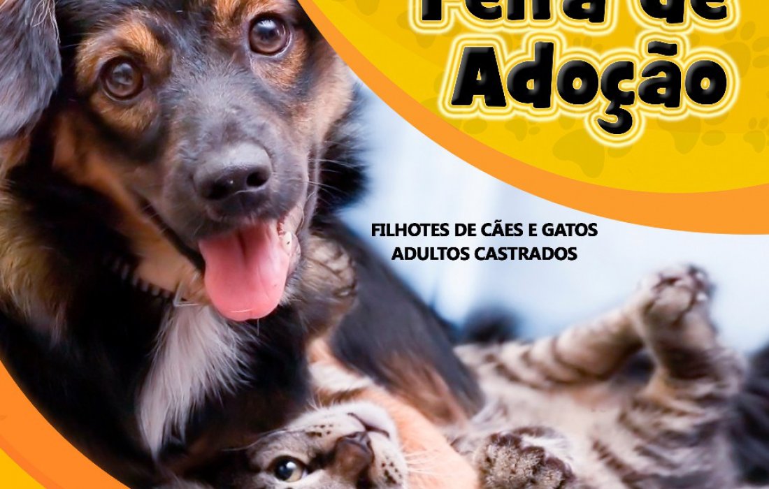 Feira de ado&ccedil;&atilde;o de c&atilde;es e gatos ser&aacute; realizada na Loja Agropecu&aacute;ria Copagril de Marechal Rondon