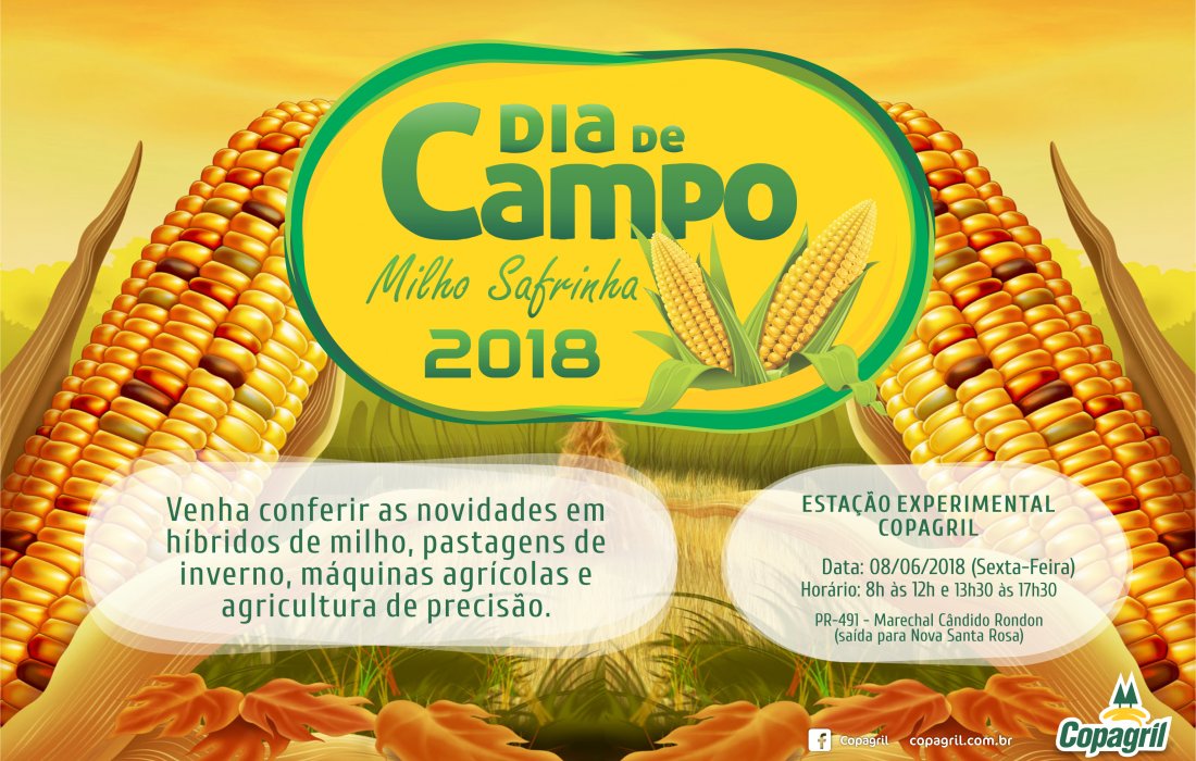 Dia de Campo do Milho Safrinha Copagril apresentar&aacute; mais de 50 h&iacute;bridos