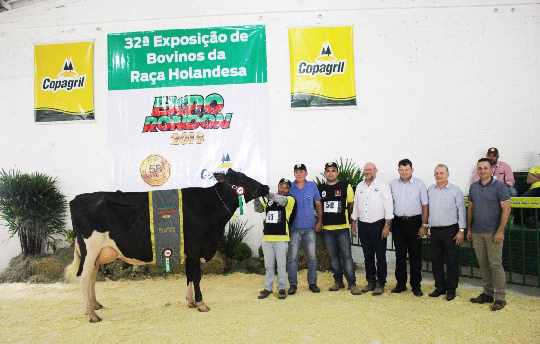  Associa&ccedil;&atilde;o Paranaense de Criadores classifica os melhores bovinos holandeses da Expo Rondon