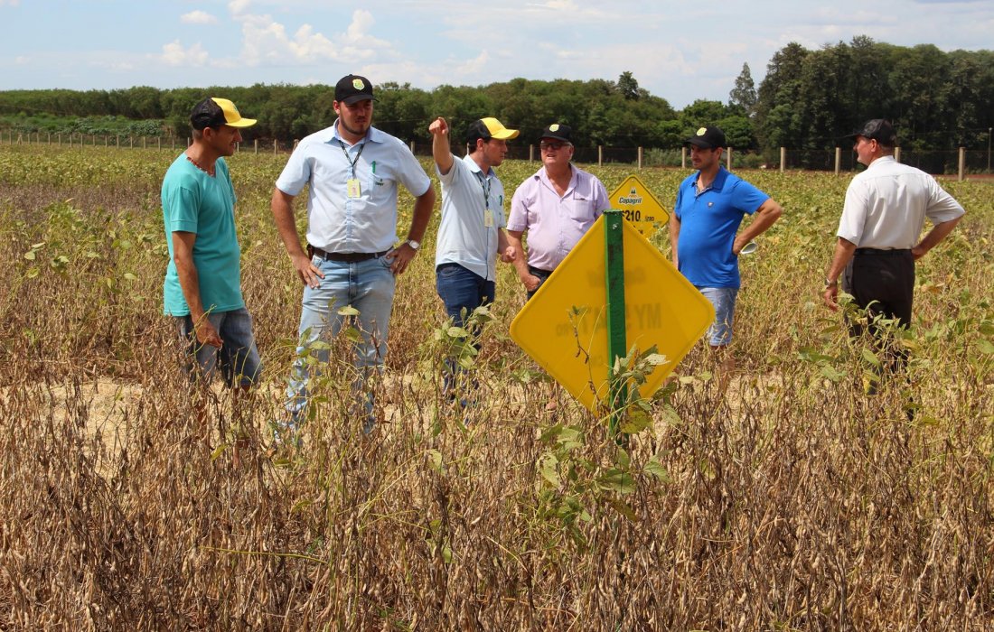 Inova&ccedil;&otilde;es tecnol&oacute;gicas para agricultura s&atilde;o demonstradas no Dia de Campo Copagril