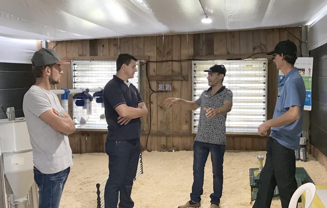 Equipamentos para avicultura e suinocultura est&atilde;o em exposi&ccedil;&atilde;o no Dia de Campo