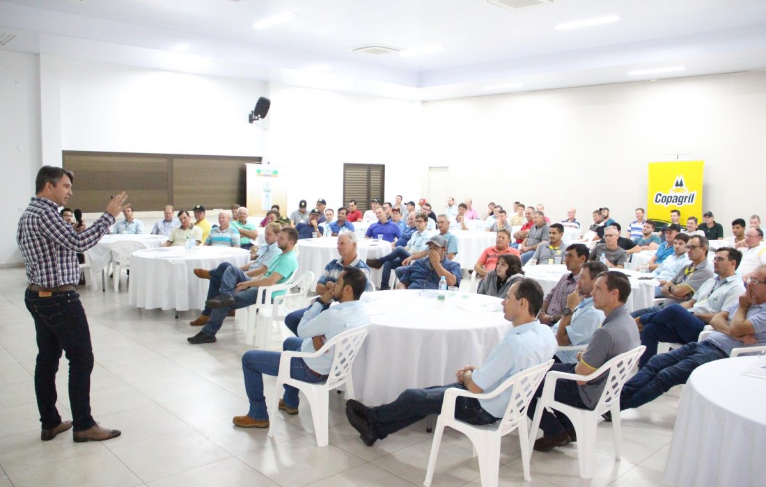 Falta de micronutrientes pode limitar produtividade de soja e milho