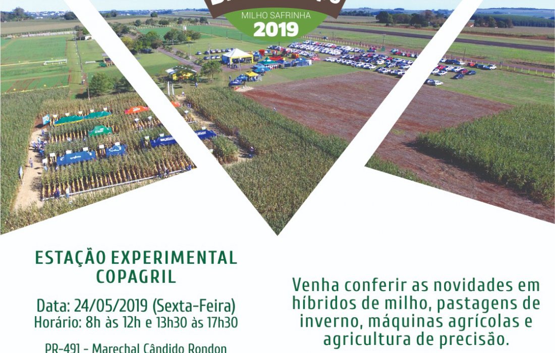 Dia de Campo Milho Safrinha Copagril ser&aacute; realizado na sexta-feira