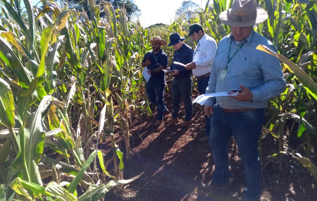 Copagril recebe visita t&eacute;cnica de pesquisadores do Iapar