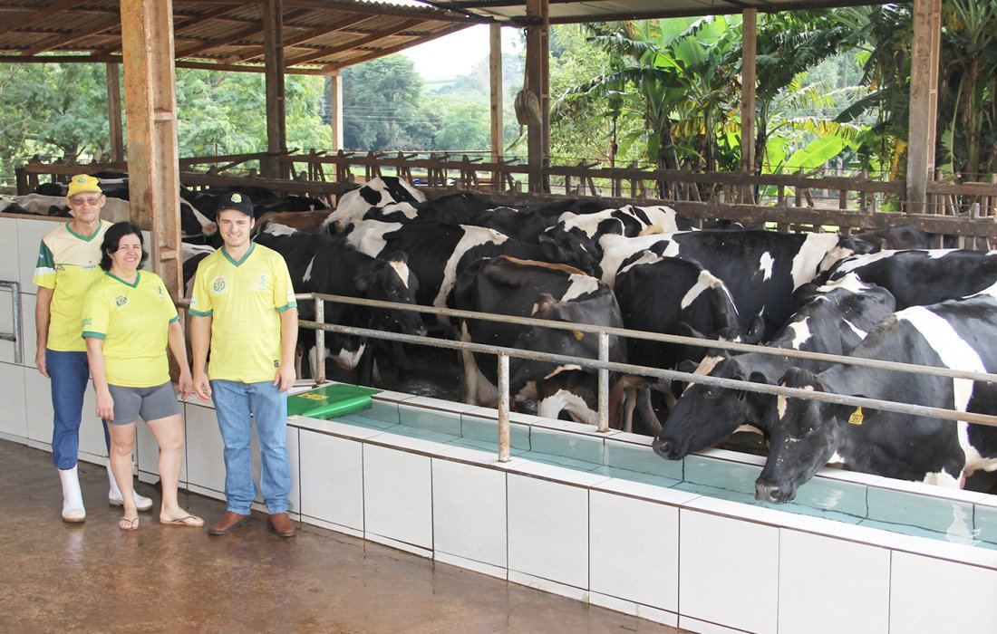 Sombra e &aacute;gua fresca: bem-estar das vacas favorece a produtividade de leite