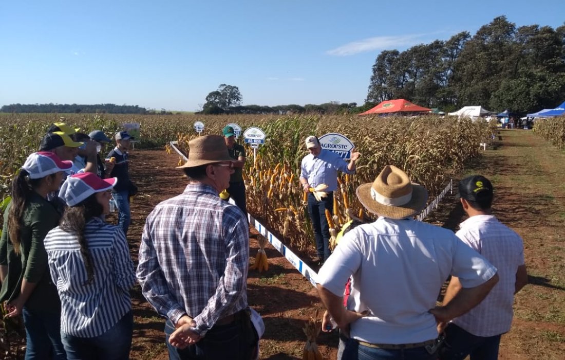 Copagril realiza Dia de Campo do Milho Safrinha em Eldorado