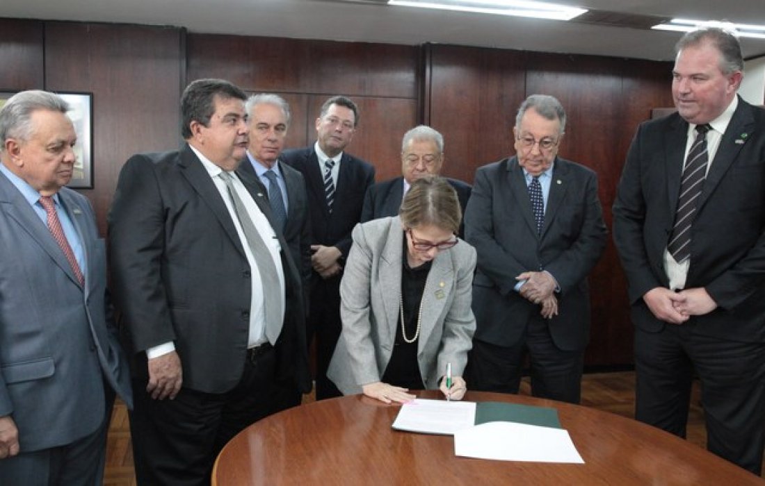 Minist&eacute;rio da Agricultura lan&ccedil;a programa Brasil Mais Cooperativo
