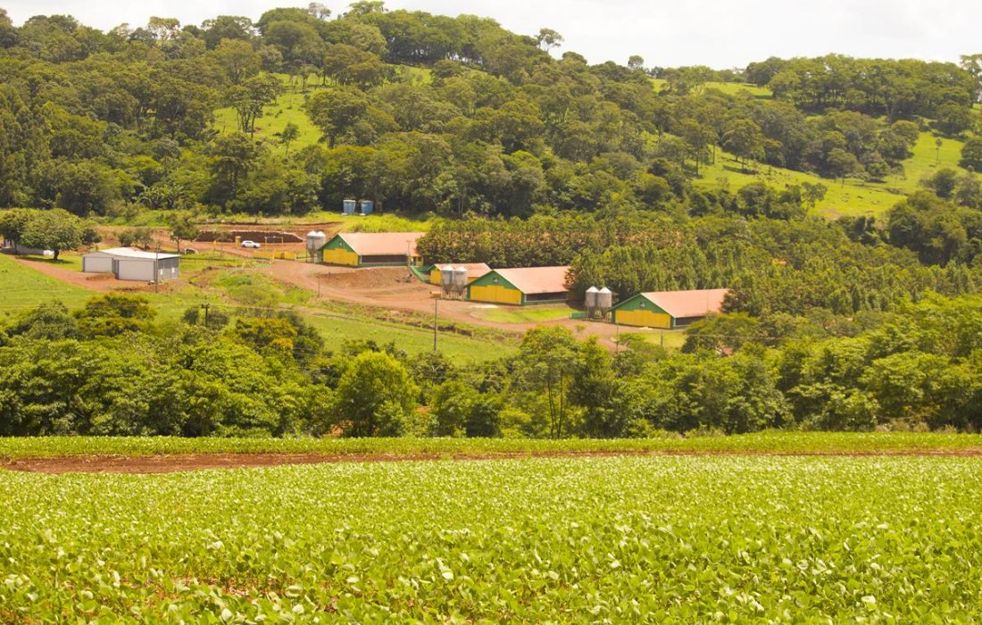 Propriet&aacute;rios de im&oacute;veis rurais j&aacute; podem emitir o CCIR 2019