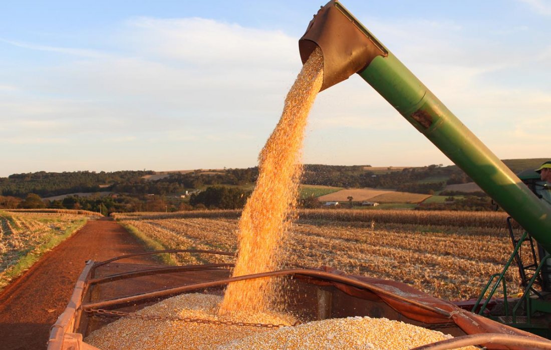  Produtividade da agropecu&aacute;ria brasileira cresce 3,36% ao ano