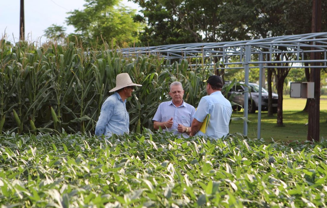 Organiza&ccedil;&atilde;o do Dia de Campo 2020 est&aacute; a todo vapor