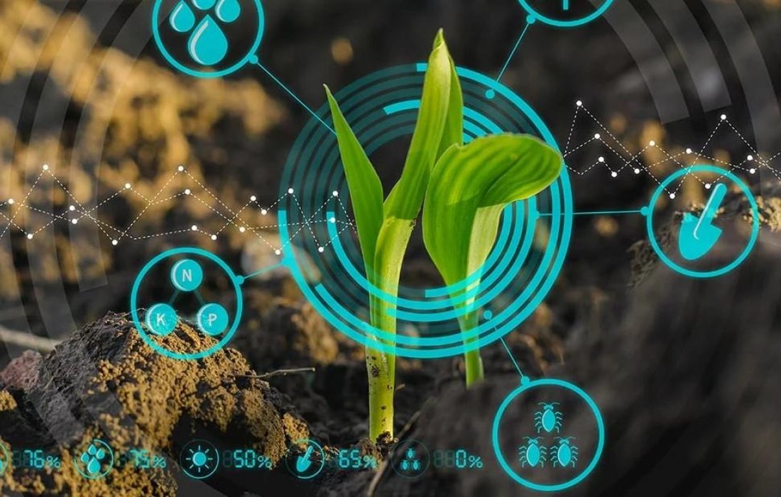 Agricultura 4.0 - inova&ccedil;&otilde;es nos processos produtivos