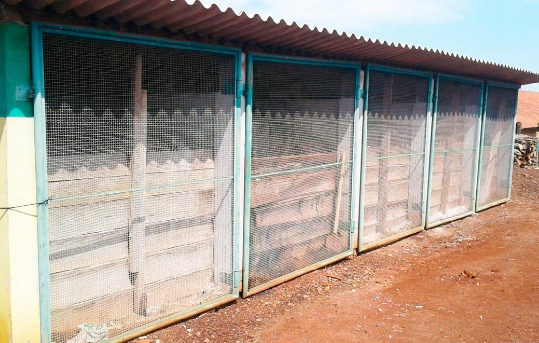 Produtores devem ter aten&ccedil;&atilde;o especial no manejo da composteira