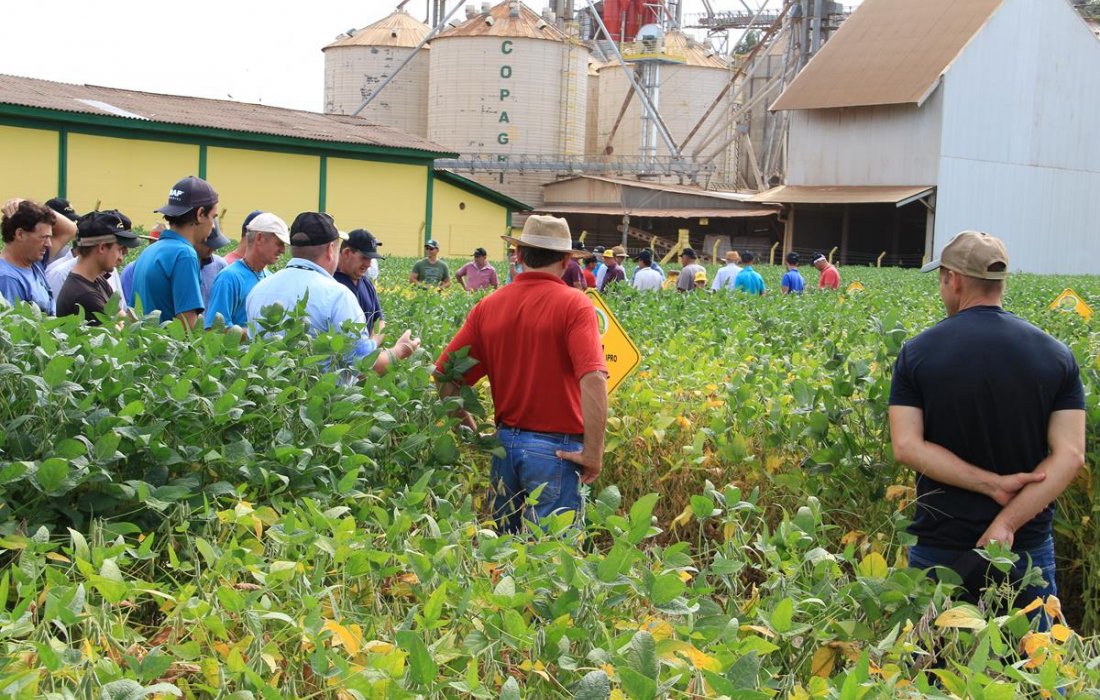 Copagril realiza Dia de Campo Cultivares de Soja em Bela Vista