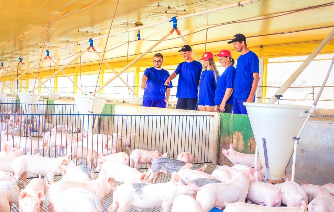 Programa su&iacute;no certificado traz melhorias ao modelo de produ&ccedil;&atilde;o