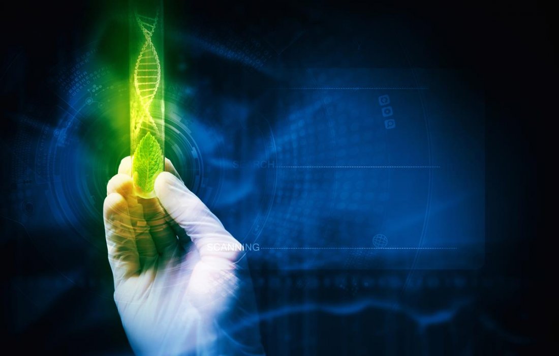 Biotecnologia: sistemas mais produtivos e sustent&aacute;veis