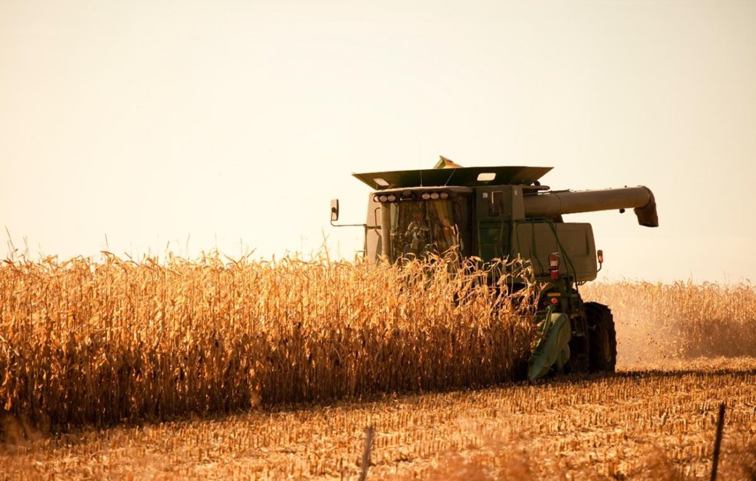 Covid-19: Governo anuncia medidas econ&ocirc;micas para ajudar produtores e cooperativas