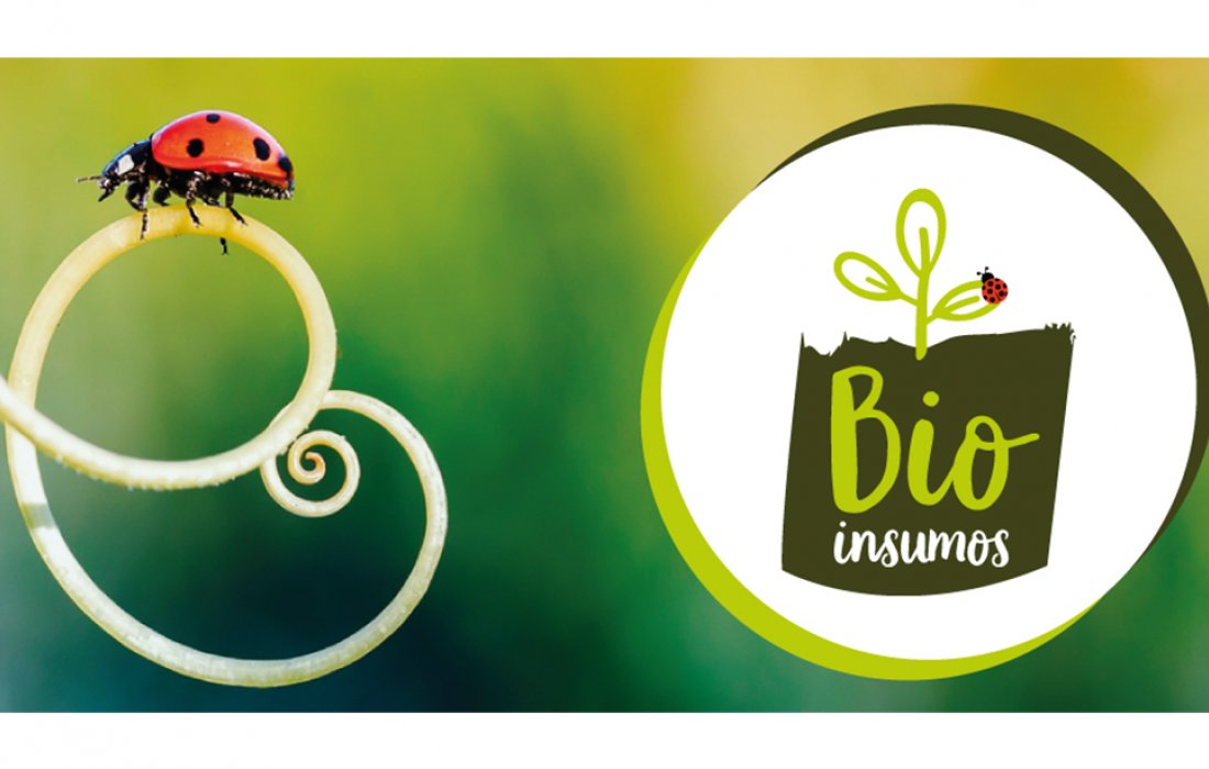 Mapa lan&ccedil;a Programa Nacional de Bioinsumos para agropecu&aacute;ria