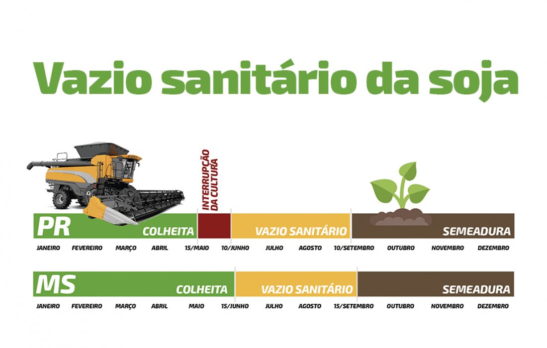 Vazio sanit&aacute;rio da soja come&ccedil;a na pr&oacute;xima semana