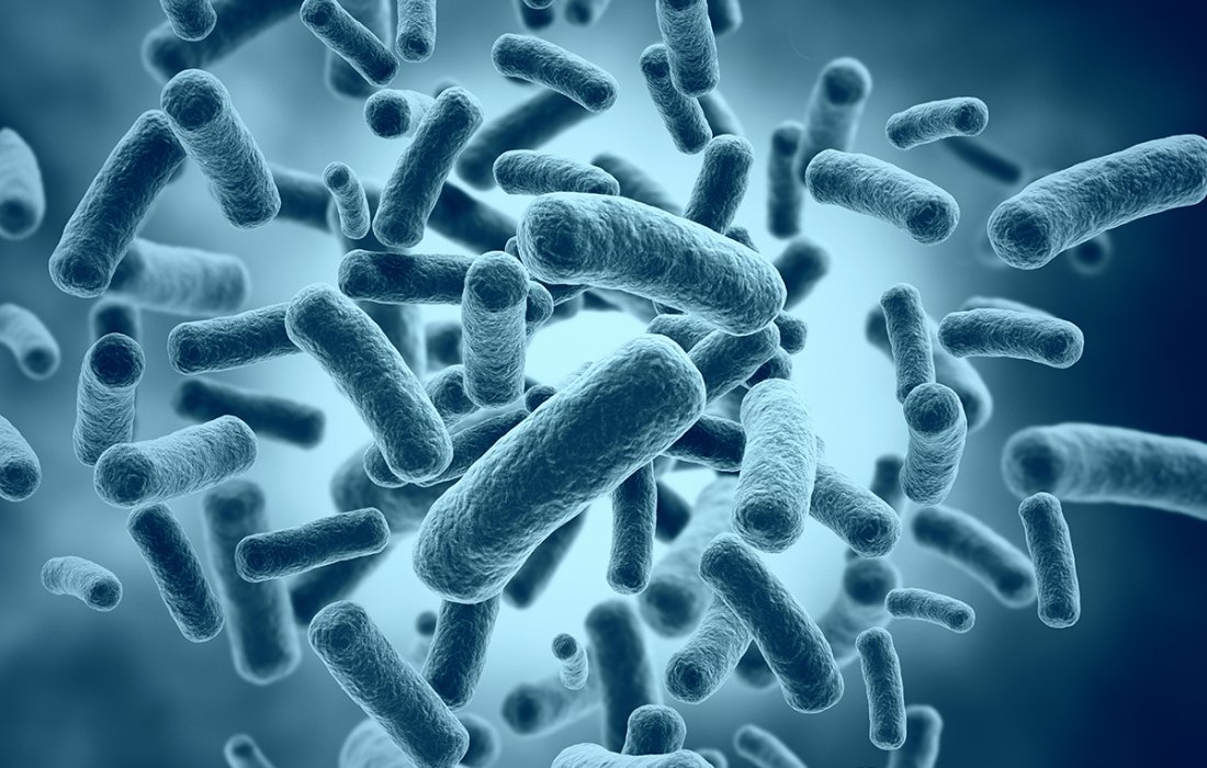 Impactos das micotoxinas na produ&ccedil;&atilde;o de leite