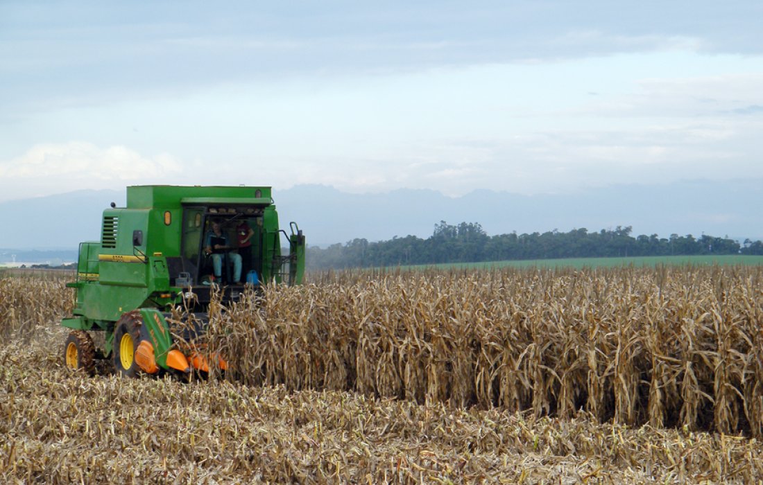PIB da agropecu&aacute;ria registra alta no segundo trimestre de 2020