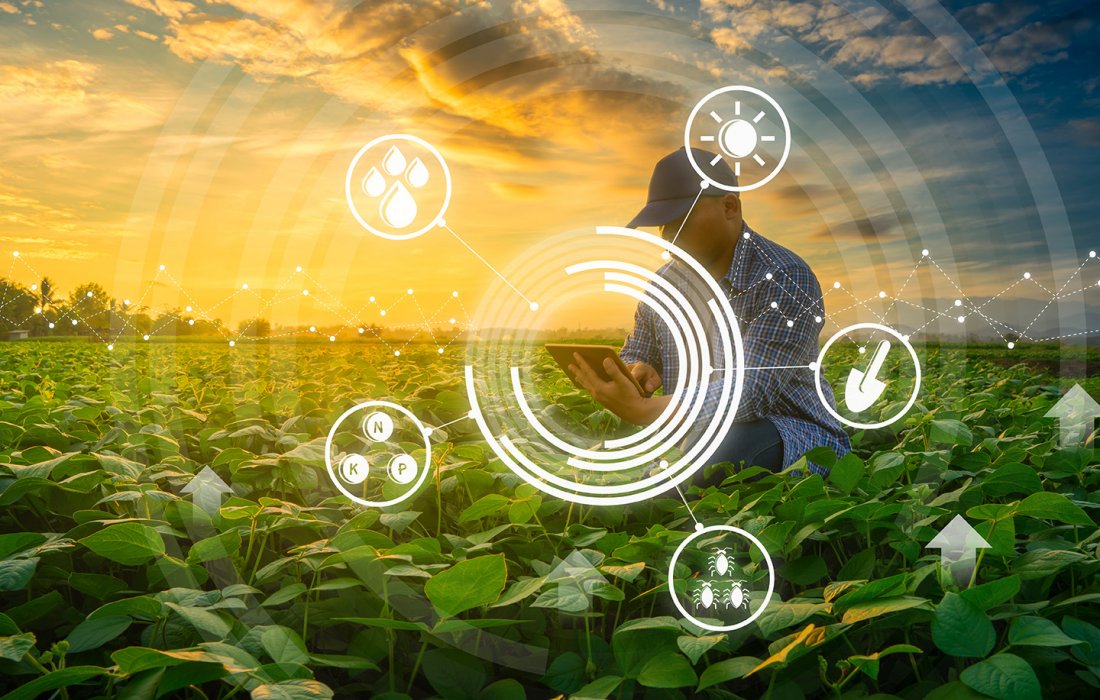 Intelig&ecirc;ncia artificial aplicada na agricultura