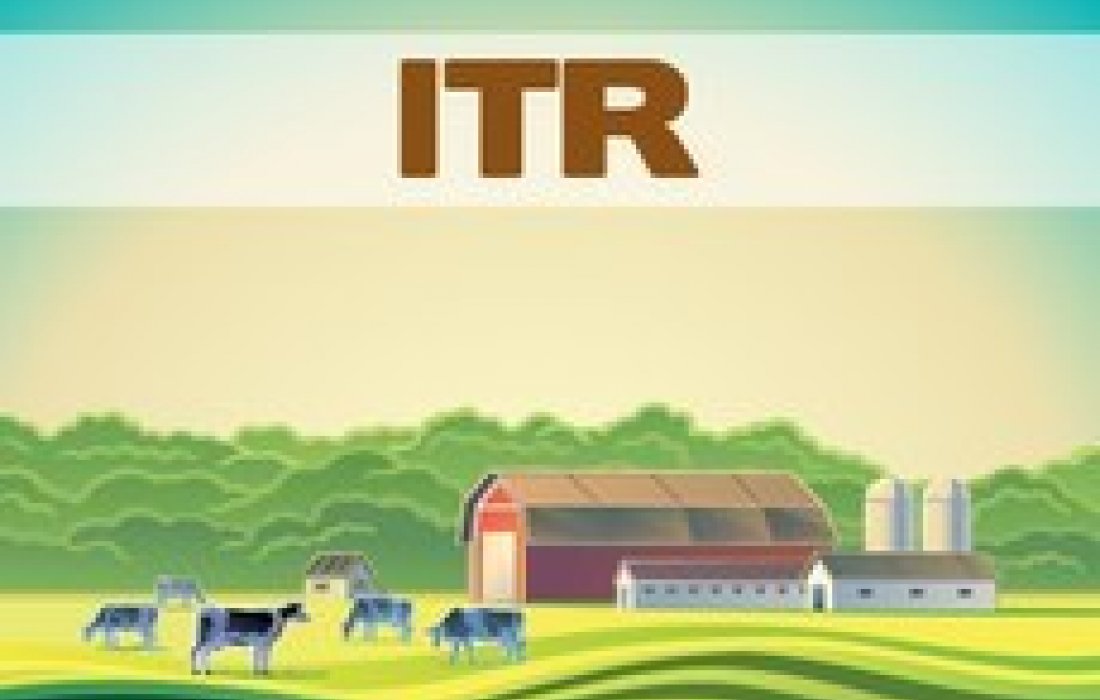Prazo para declara&ccedil;&atilde;o do ITR encerra dia 30 de setembro
