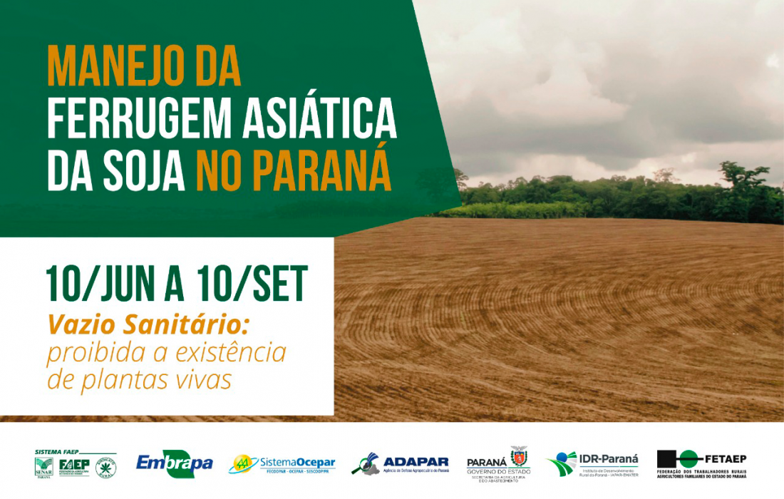 Per&iacute;odo de vazio sanit&aacute;rio da soja est&aacute; em vig&ecirc;ncia at&eacute; 10 de setembro