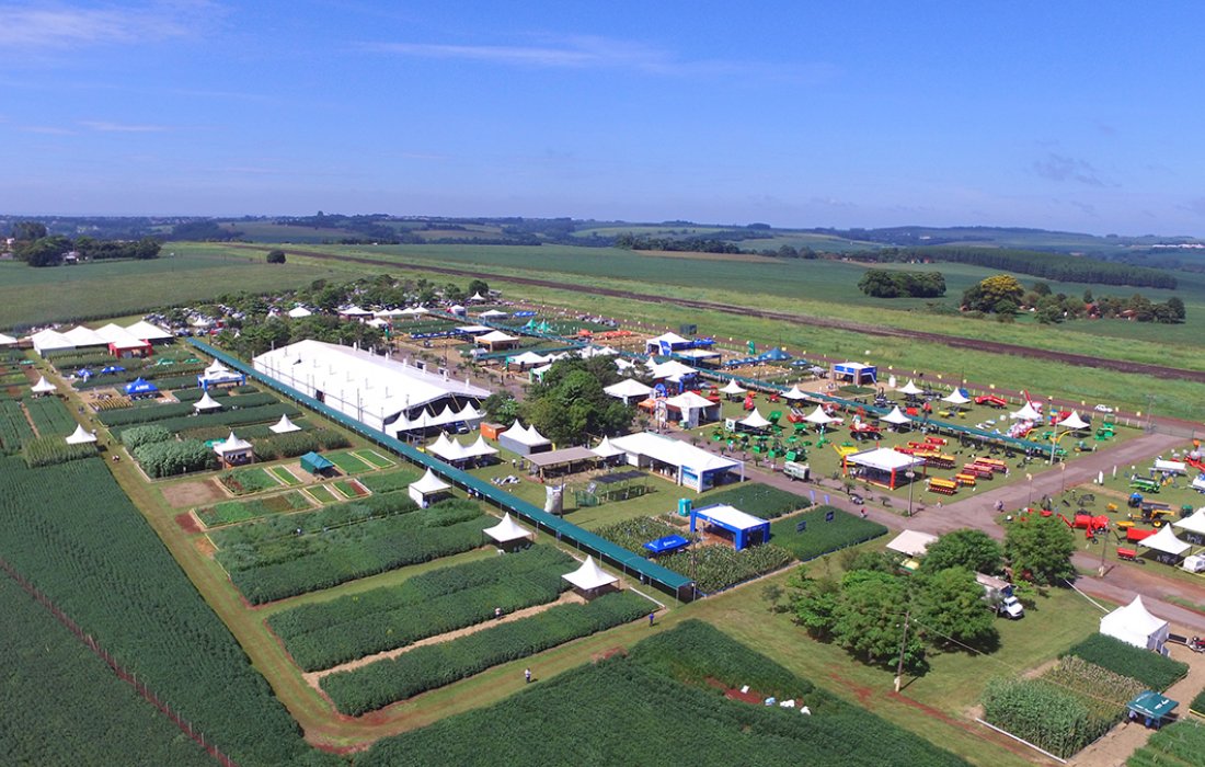 &Uacute;ltimos detalhes da organiza&ccedil;&atilde;o do Dia de Campo Copagril 2022 