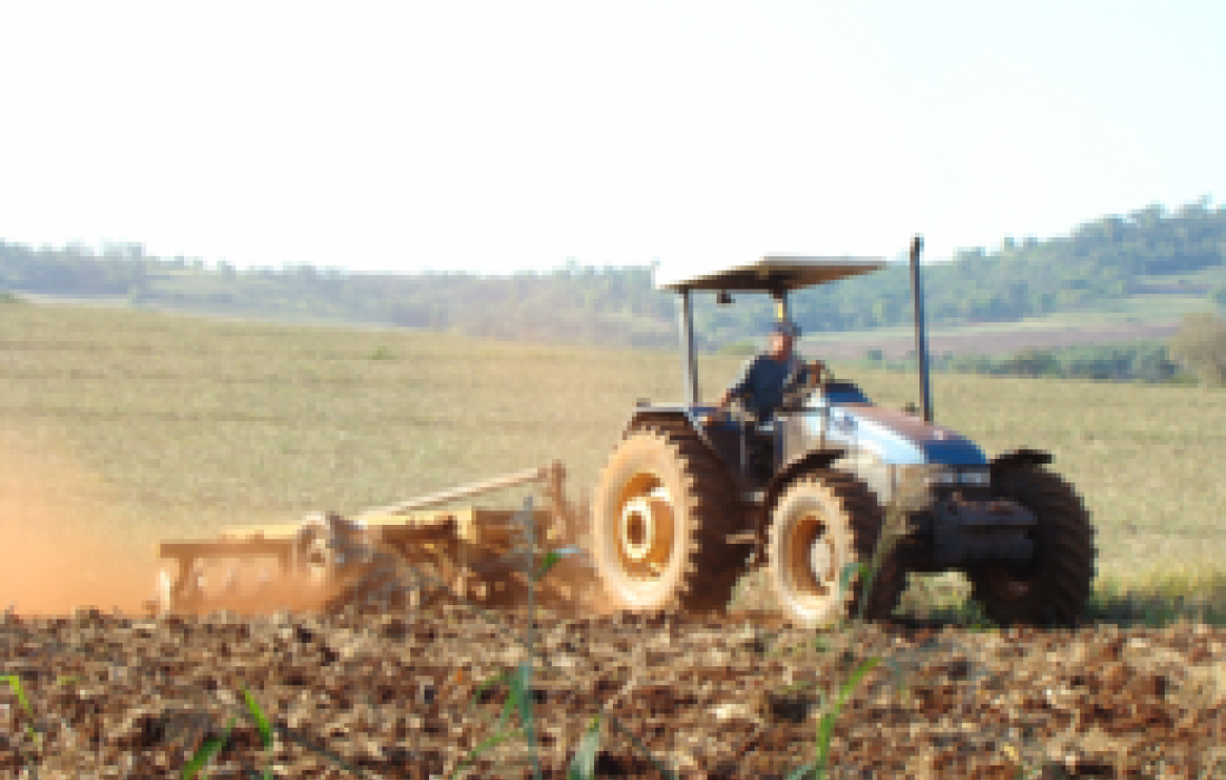 Cr&eacute;dito para produ&ccedil;&atilde;o agr&iacute;cola cresce 17% em julho