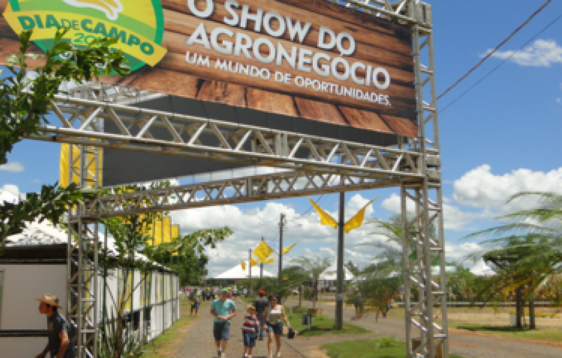 Dia de campo Copagril atrai milhares de pessoas