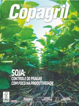 Outubro/Novembro/Dezembro 2020