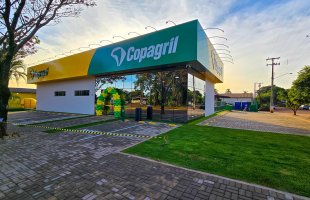 Margarida 