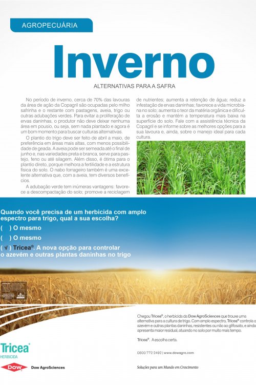 Revista Digital
