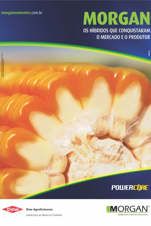 Revista Digital