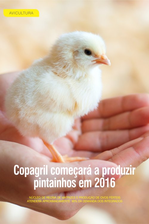Revista Digital
