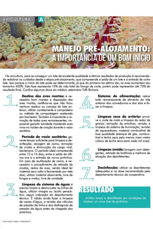 Revista Digital