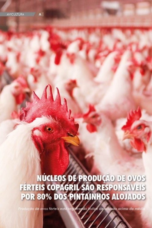 Revista Digital